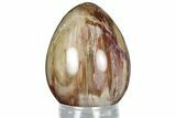 Colorful, Polished Petrified Wood Egg - Madagascar #318347-1